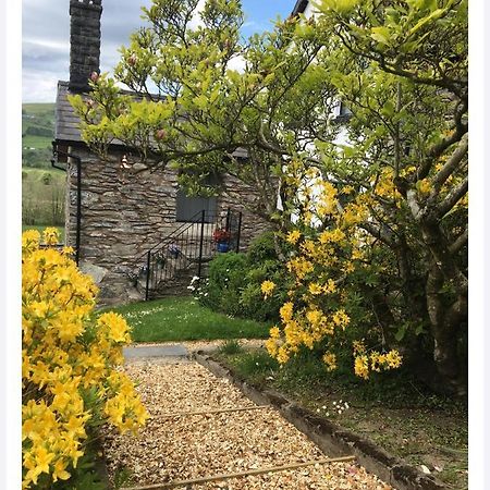 Bed and Breakfast Hares Hideaway At Coed Moelfa Corwen Exterior foto