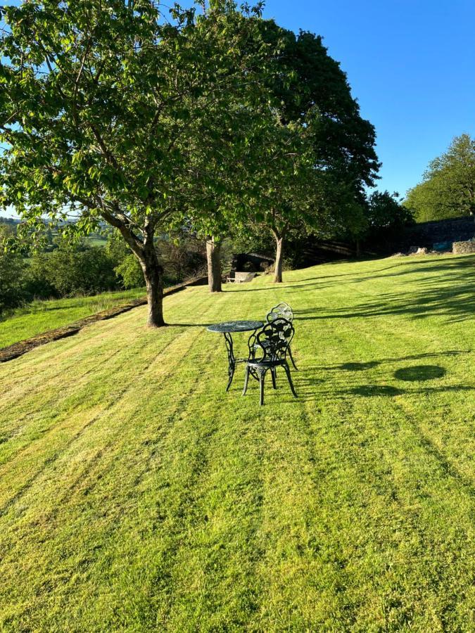 Bed and Breakfast Hares Hideaway At Coed Moelfa Corwen Exterior foto