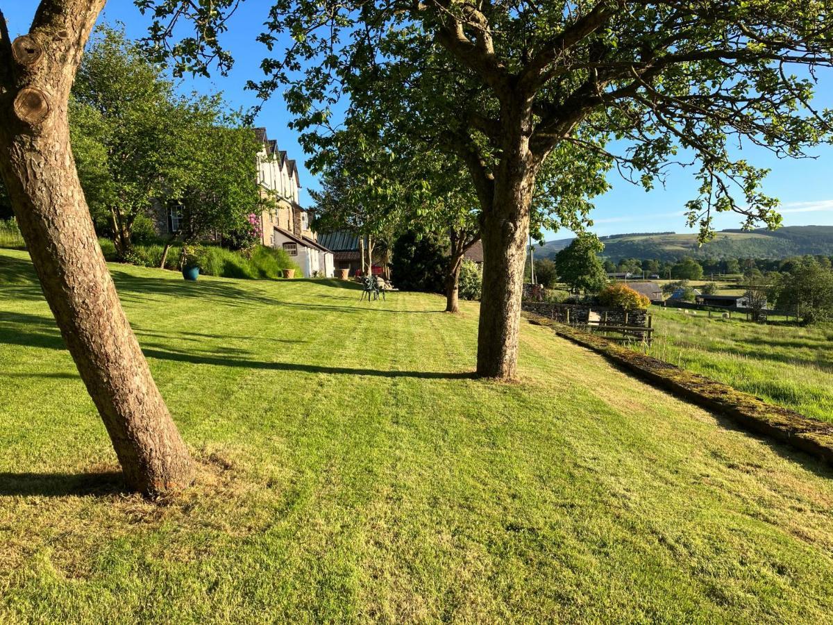 Bed and Breakfast Hares Hideaway At Coed Moelfa Corwen Exterior foto