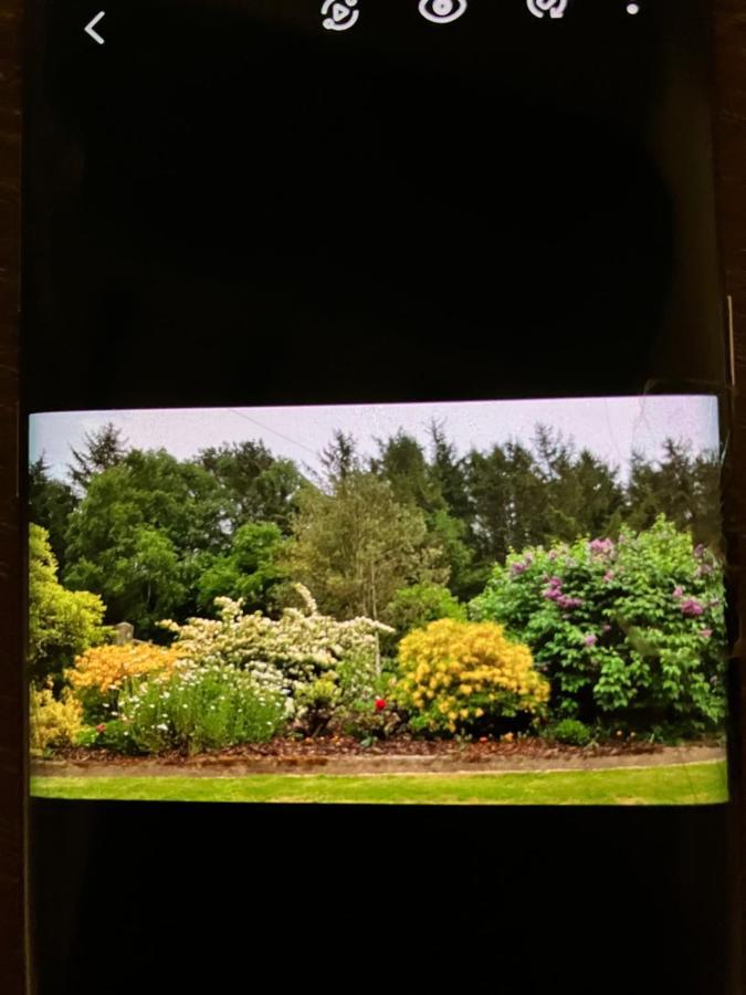 Bed and Breakfast Hares Hideaway At Coed Moelfa Corwen Exterior foto