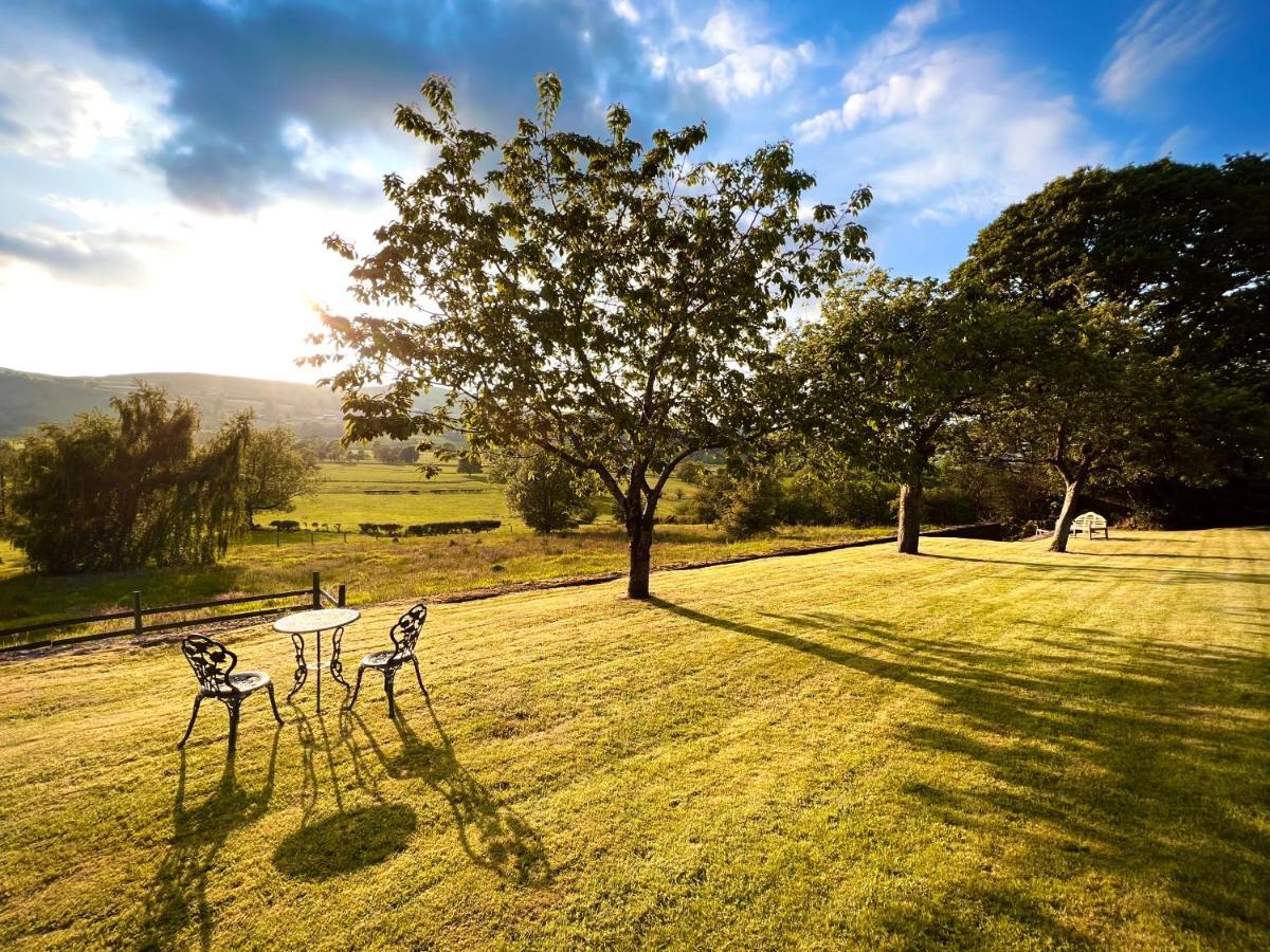 Bed and Breakfast Hares Hideaway At Coed Moelfa Corwen Exterior foto