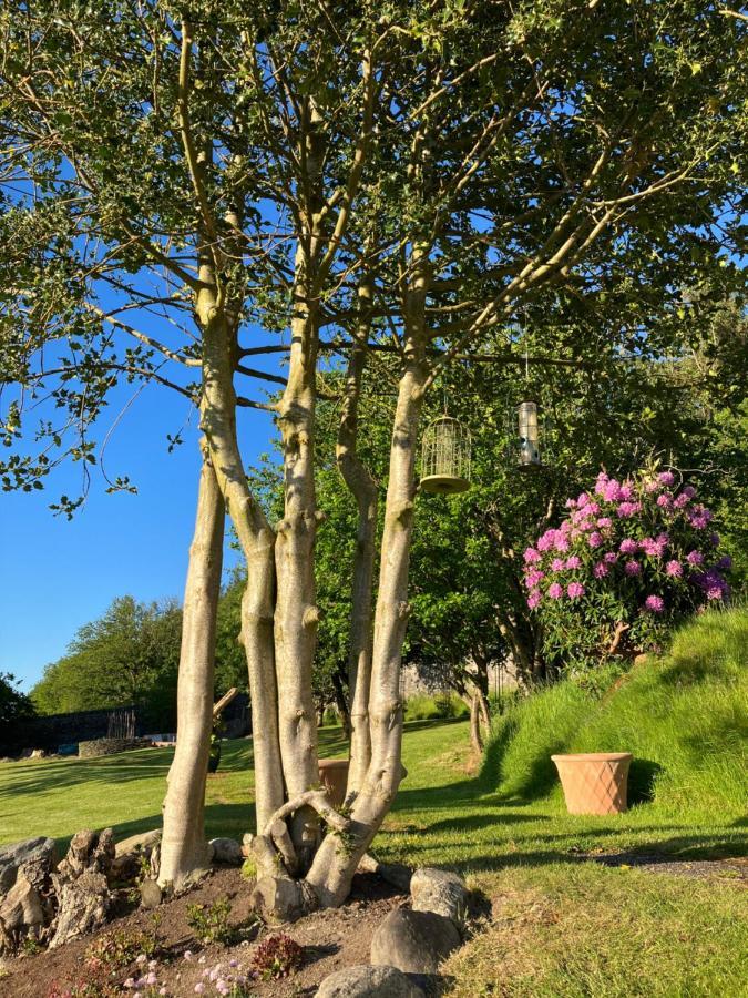 Bed and Breakfast Hares Hideaway At Coed Moelfa Corwen Exterior foto