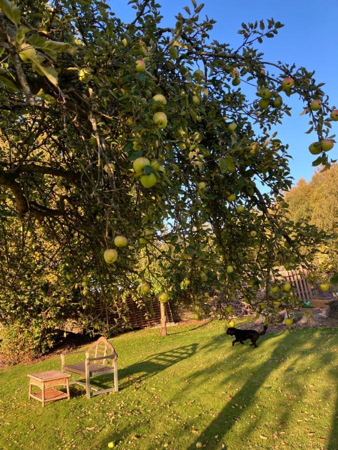 Bed and Breakfast Hares Hideaway At Coed Moelfa Corwen Exterior foto