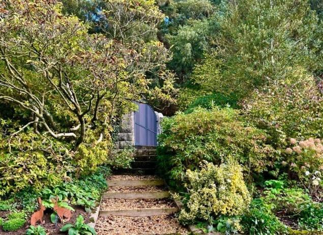 Bed and Breakfast Hares Hideaway At Coed Moelfa Corwen Exterior foto