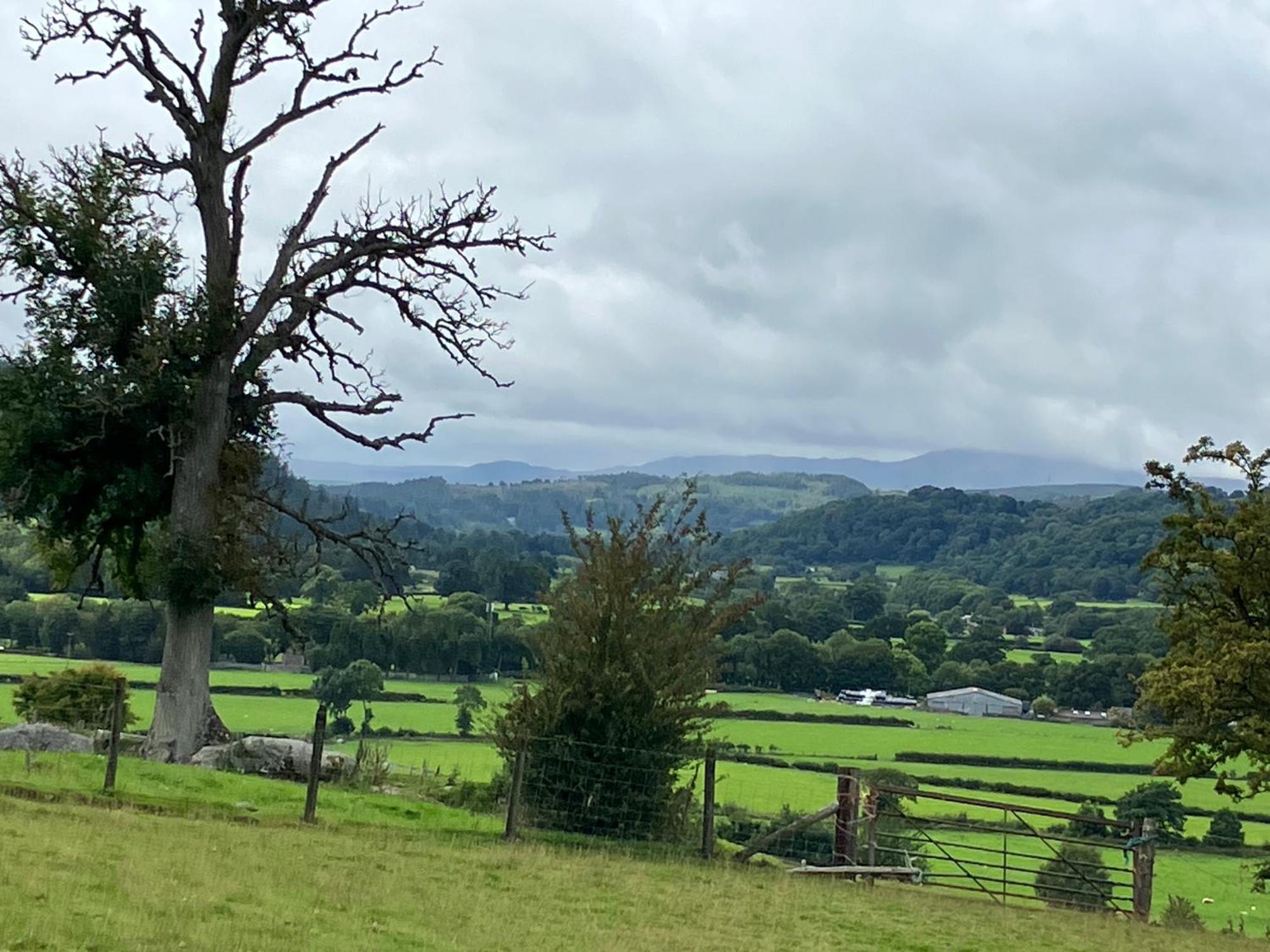 Bed and Breakfast Hares Hideaway At Coed Moelfa Corwen Exterior foto